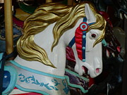 Lynn-Marie Gildersleeve - Carnival Steed