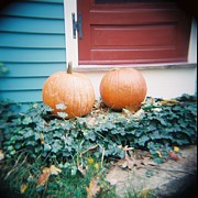 Lynn-Marie Gildersleeve - Two Pumpkins