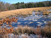 Lynn-Marie Gildersleeve - Winter On The River